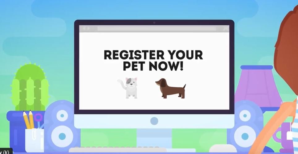 ESA Airline/Housing Combo Letter <12Hr Delivery! - PDS Center