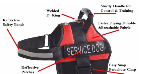 Service Dog Vest - PDS Center